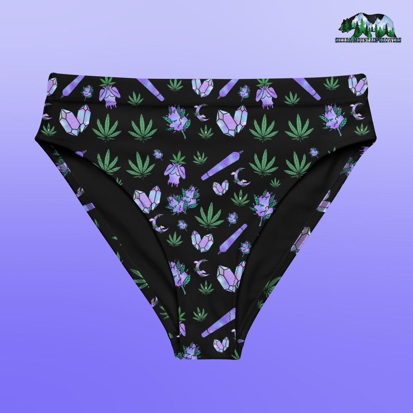 Goddess Energy Bikini Bottom (High Waisted)